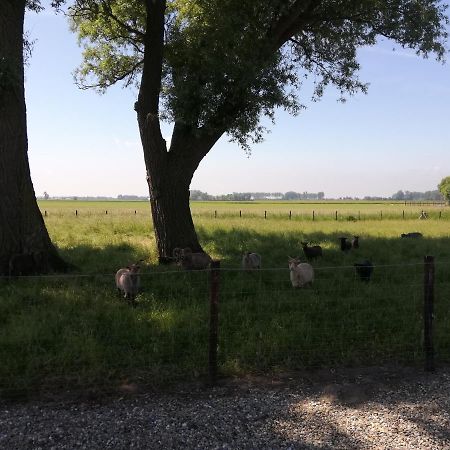 Het Zeeuws Verblijf Acomodação com café da manhã Terneuzen Exterior foto