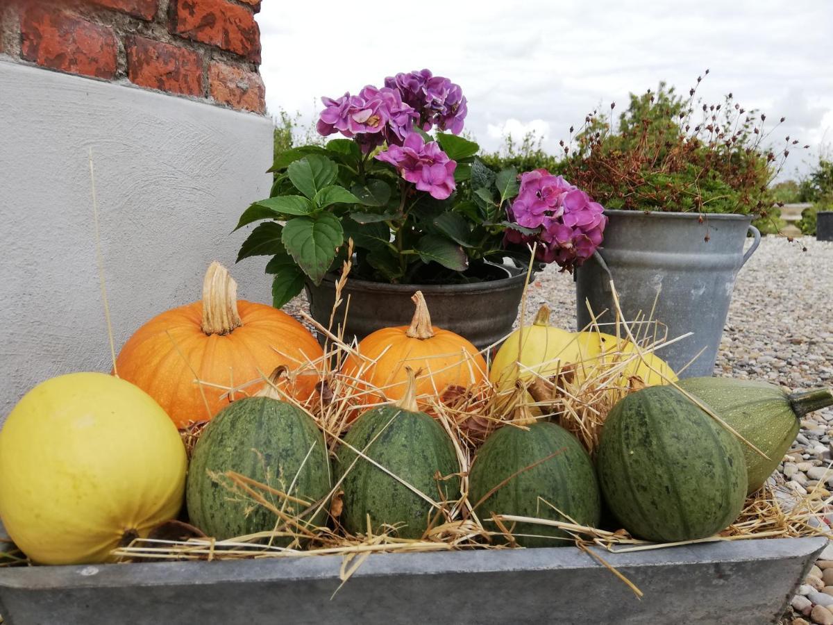 Het Zeeuws Verblijf Acomodação com café da manhã Terneuzen Exterior foto